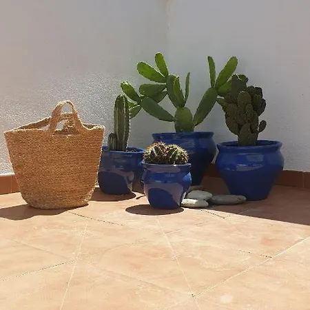 Yoga Laguna Playa Apartment *